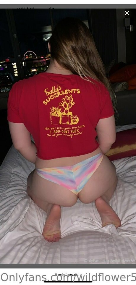 wildflower55free HD女優 ギャラリー