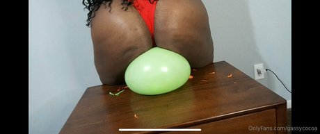gassycocoa 女優 写真