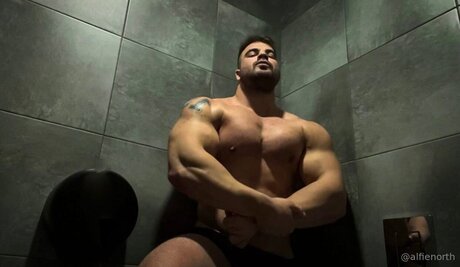 alfienorthfree 素敵なポルノスター 写真