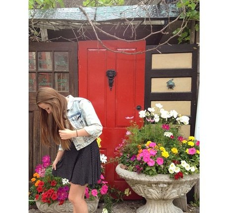 Taylor Francis HDモデル 写真