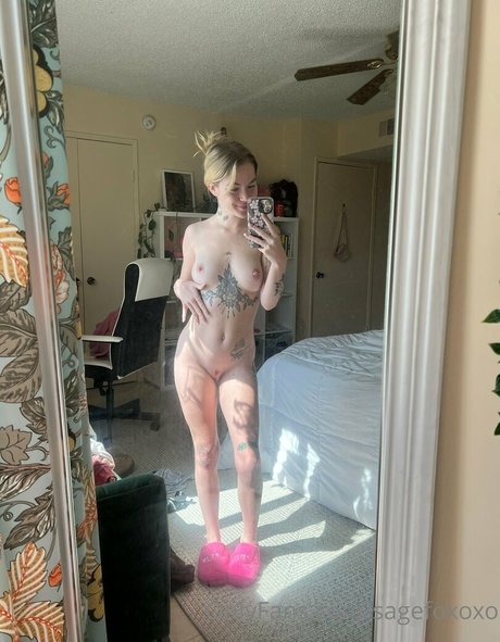 sagefoxoxo ポルノスター パーフェクト 画像