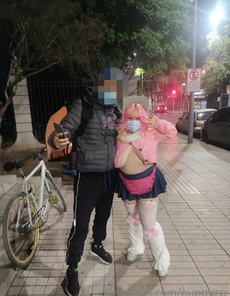 puppy grrr 美しいスター 写真