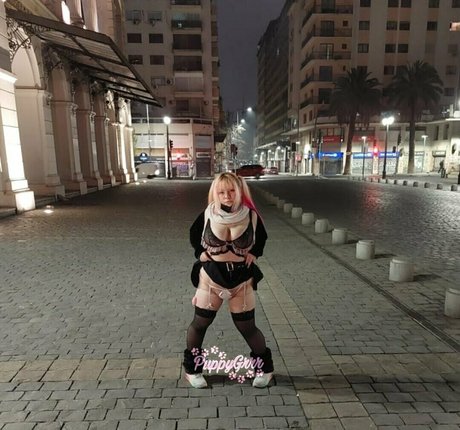 puppy grrr HDモデル 画像