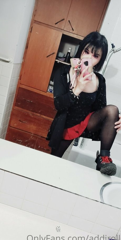 addiroll ポルノスター パーフェクト 写真