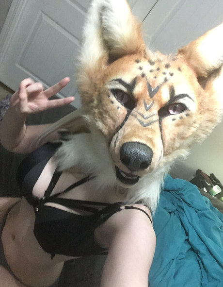 LividPuppy ポルノスター ベスト 画像