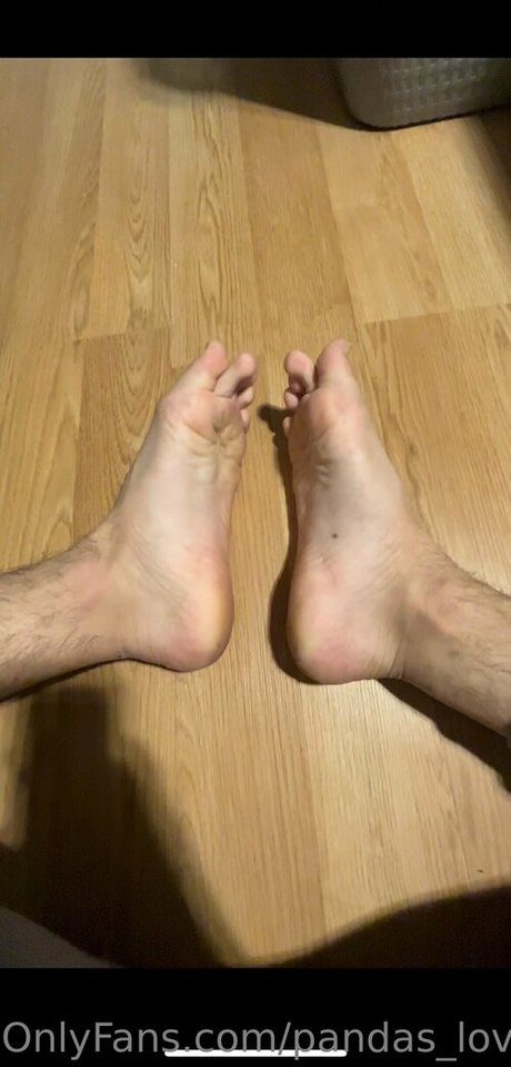 pandas lover アダルトスター ギャラリー