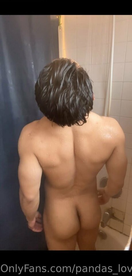 pandas lover 高品質スター 写真