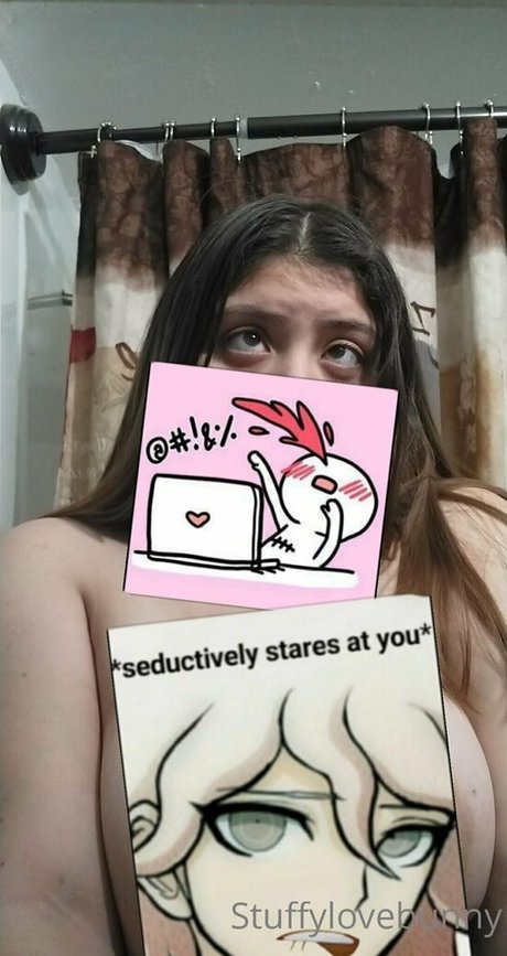 StuffyLoveBunny top profile image