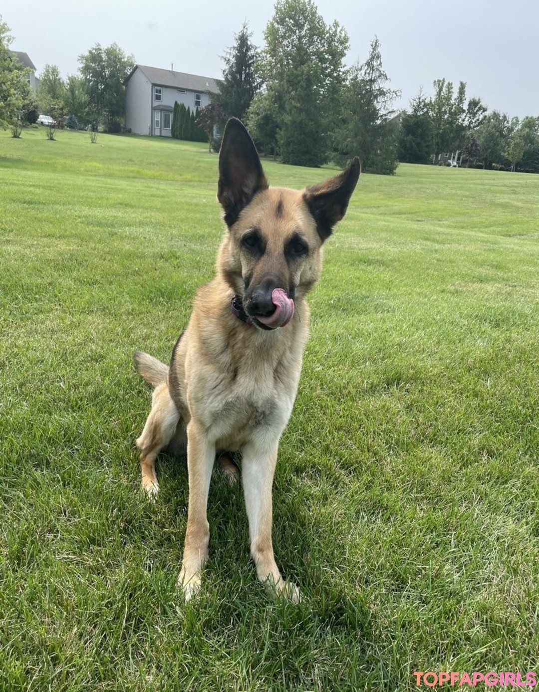 doubledboatgirl vip 高品質モデル 写真