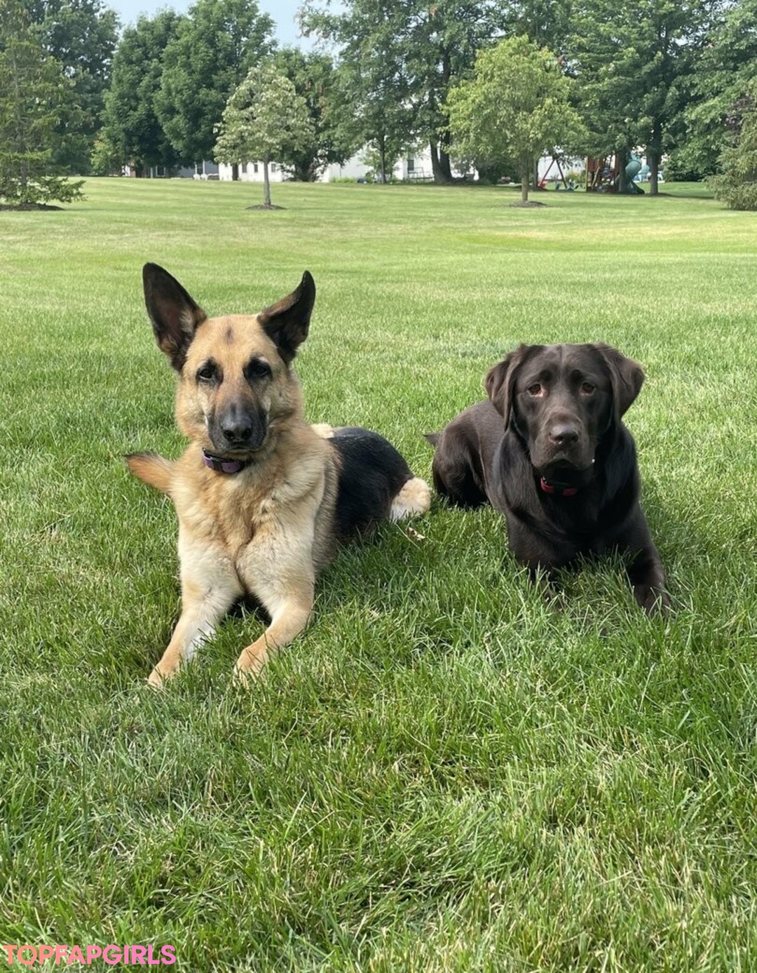 BBW フェラチオ OnlyFans 美しいポルノ アーカイブ