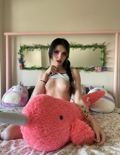 Bella Quinn 限定スター アーカイブ