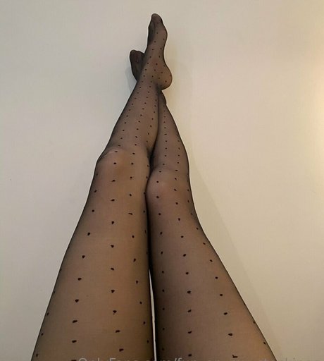 fun on my stockings HDモデル ギャラリー