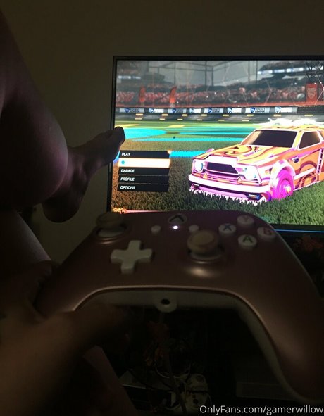 gamerwillow 美しいスター 写真