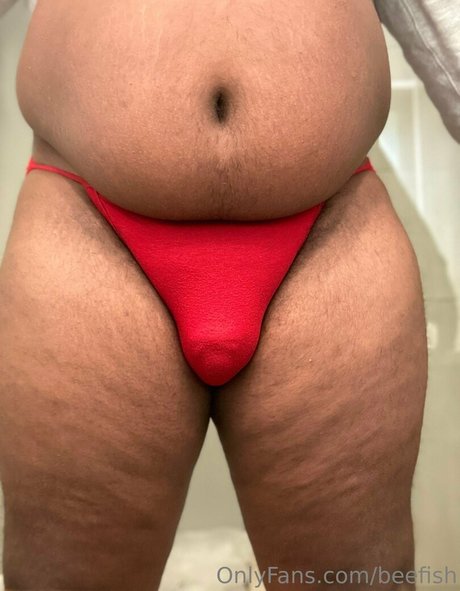 beefish セックススター ギャラリー