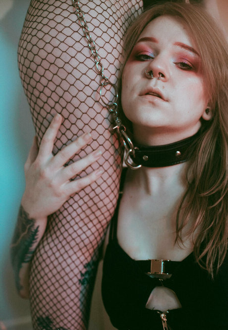 eva evergreene ポルノ女優 写真