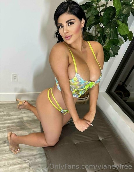 vianeyfree 完璧なポルノスター 写真