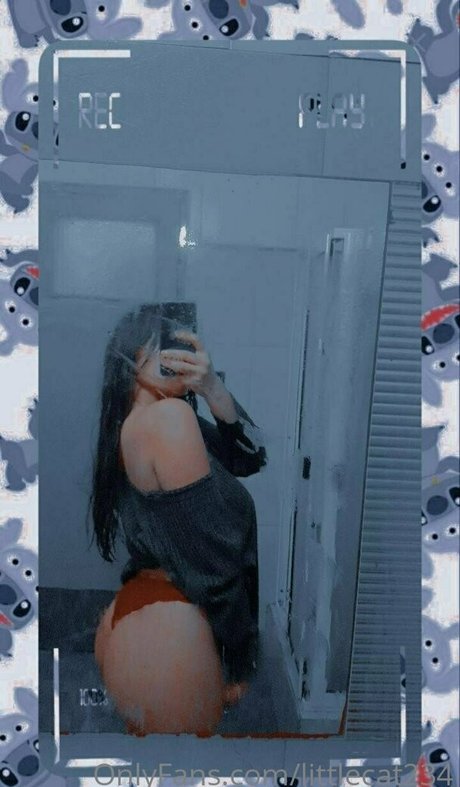littlecat234 セックスポルノスター 写真