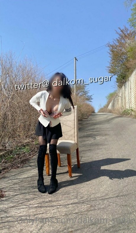 Dalkom sugar 高品質スター ギャラリー