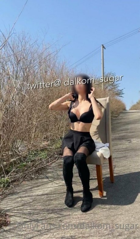 Dalkom sugar 限定スター 画像