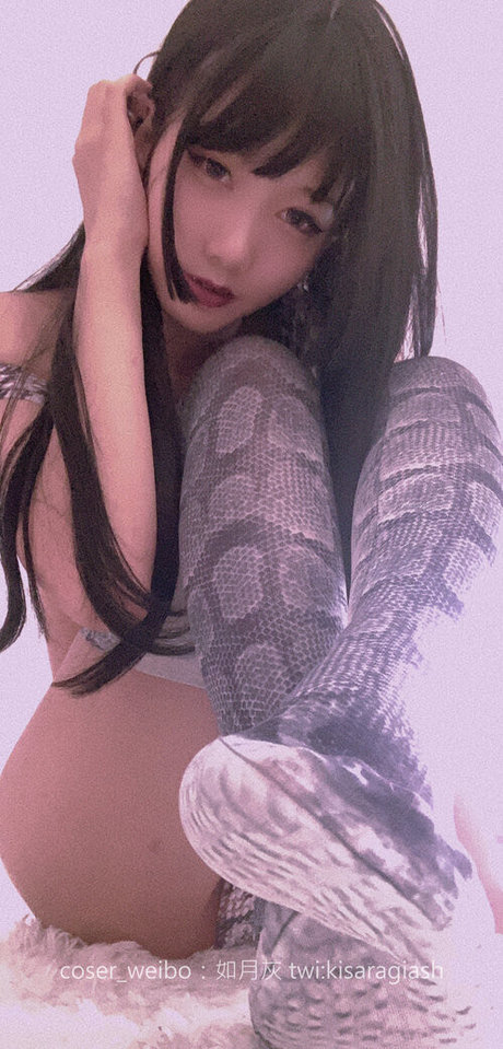 KisaragiAsh HDモデル 写真