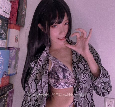 KisaragiAsh アートスター 写真