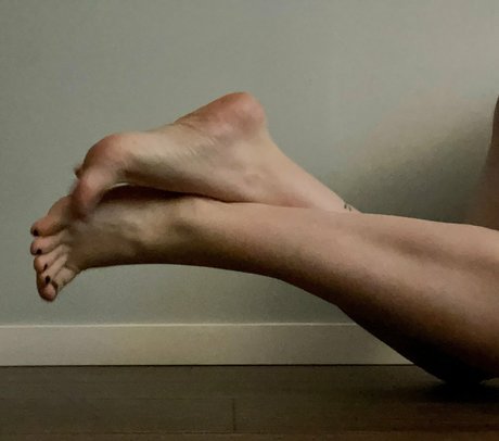 porcelainpads top profile image