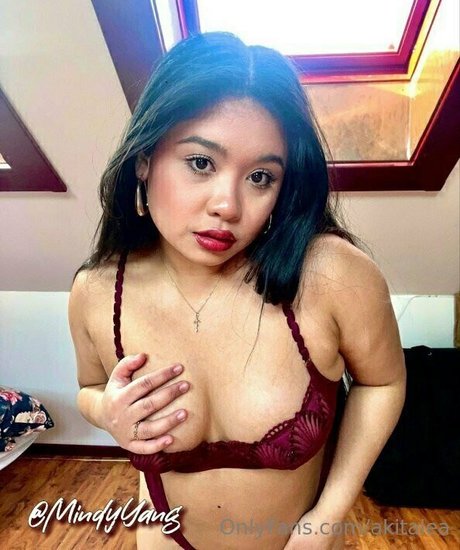 akitalea 最高のスター 写真