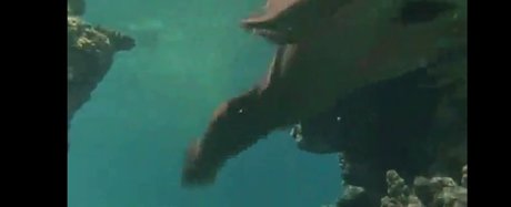 Phoebe Cates セックスモデル ギャラリー