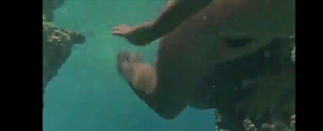 Phoebe Cates 完璧なモデル 写真