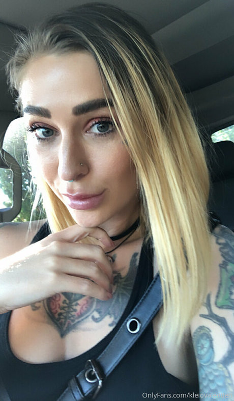 kleiovalentien かわいいスター 写真