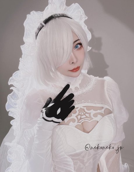 Nekoneko JX HDモデル 写真