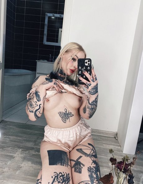 dariamilk ホットスター 画像