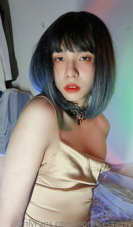 TSprincessRose ポルノ女優 写真