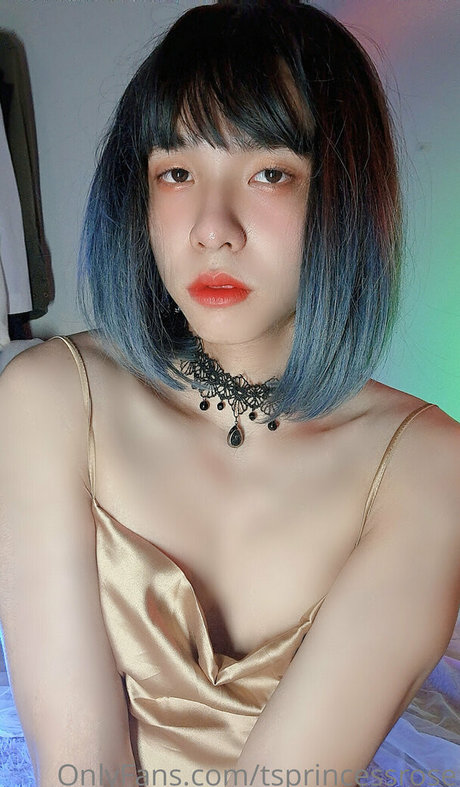 TSprincessRose xxxモデル 画像