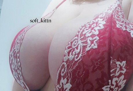 Soft kittn 高品質スター 画像