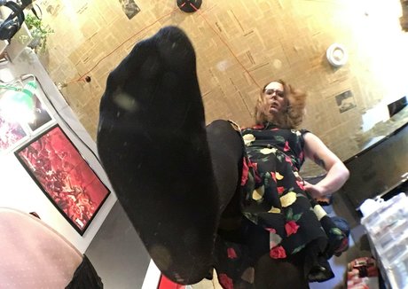 didistarshot 美しいスター 写真