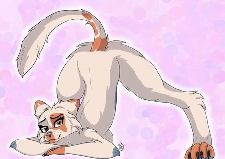 all the fluffies 美しいスター アーカイブ