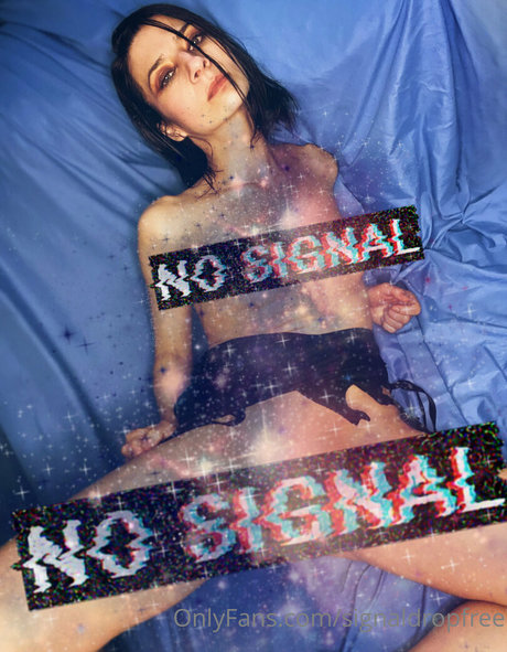 signaldropfree アートスター 写真