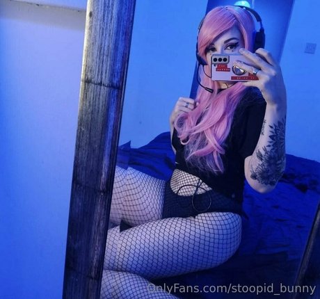 stoopid bunny ヌードスター ギャラリー