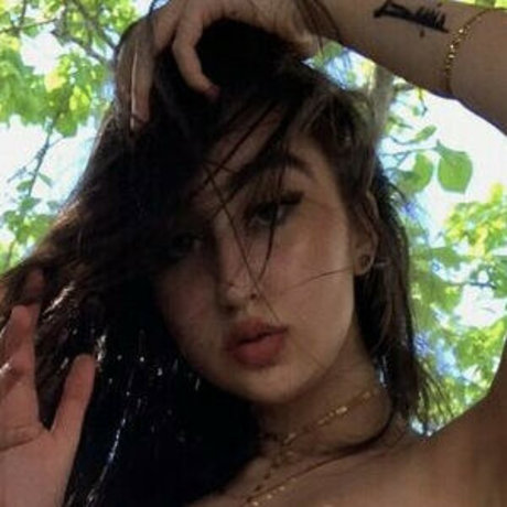 Husvjjal2 高品質女優 画像