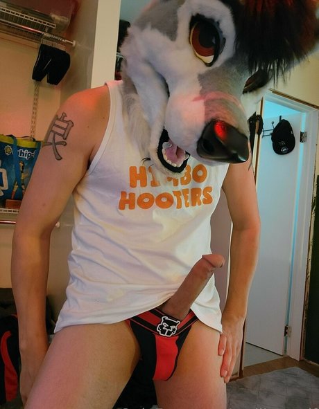 stallionwolf profile image