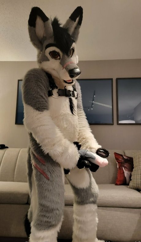 stallionwolf ポルノスター セクシー 写真