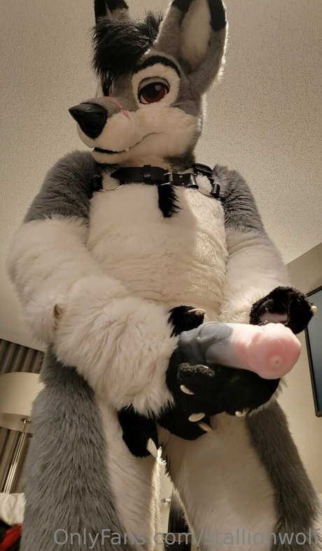 stallionwolf ポルノスター エロティック 写真