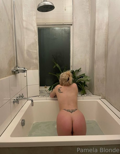 servepamela 高品質のスター 写真