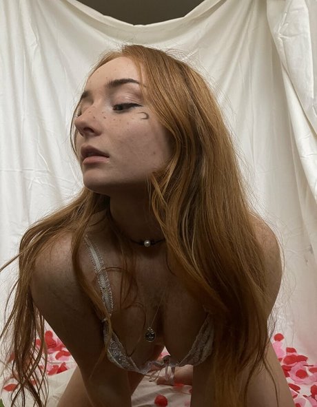 Redheadbbb 高品質女優 写真