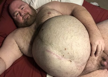 黒檀ペッギングオンリーファンズ ベスト 写真