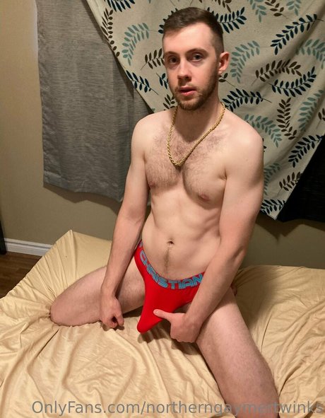 northerngaymertwinks 裸のモデル ギャラリー