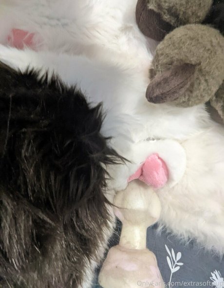 extrasoftpup セックスモデル 写真