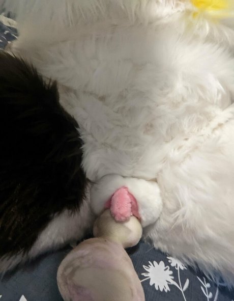 extrasoftpup 美しいモデル 写真