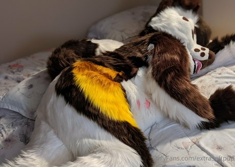 extrasoftpup 裸のモデル 写真